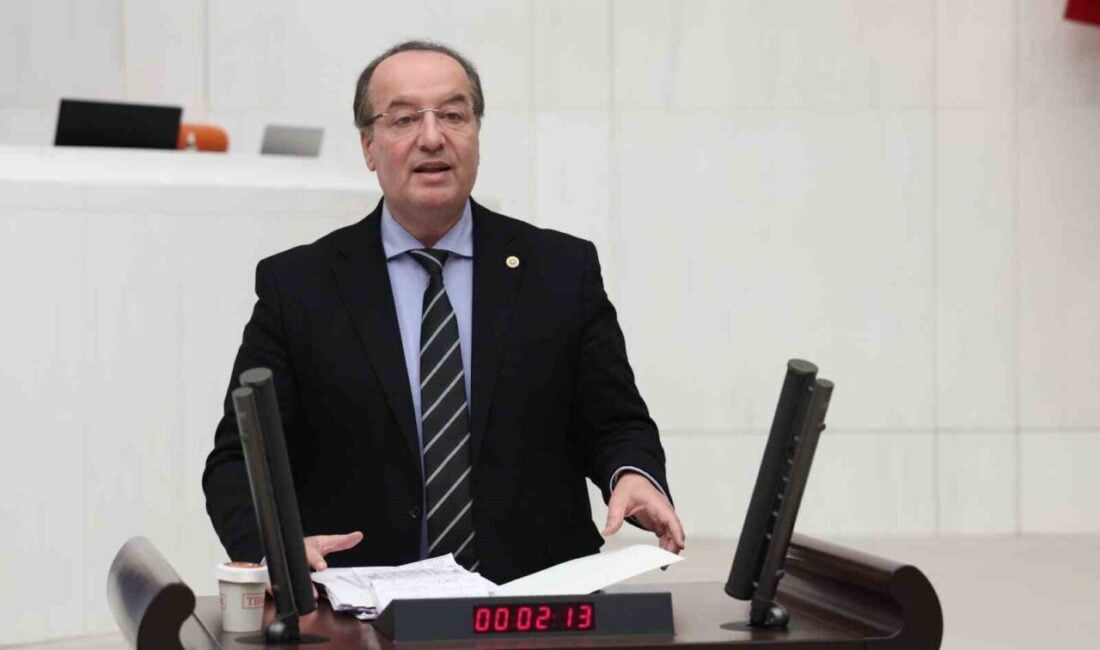 CHP Karabük Milletvekili Cevdet Akay, TBMM Genel Kurulu'nda Yenice ilçesinin
