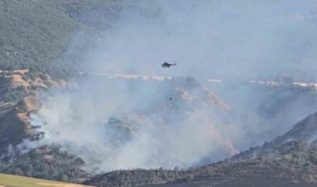 Amasya'nın Merzifon ilçesindeki Esentepe köyünde tarla yangını ormana sıçradı. 50