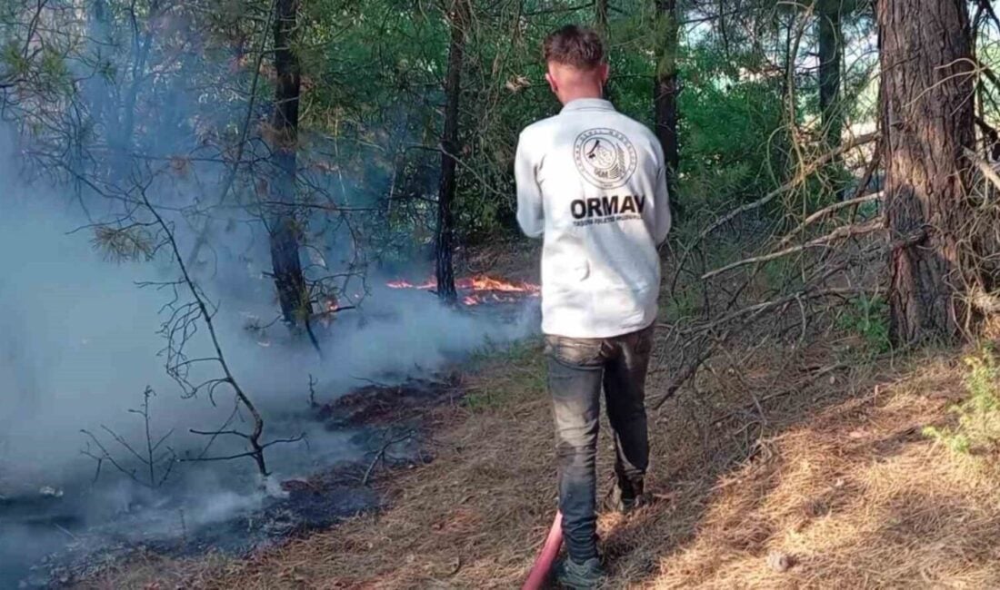 Amasya'nın Taşova ilçesi Yenidere köyünde çıkan yangında 10 dekar ormanlık