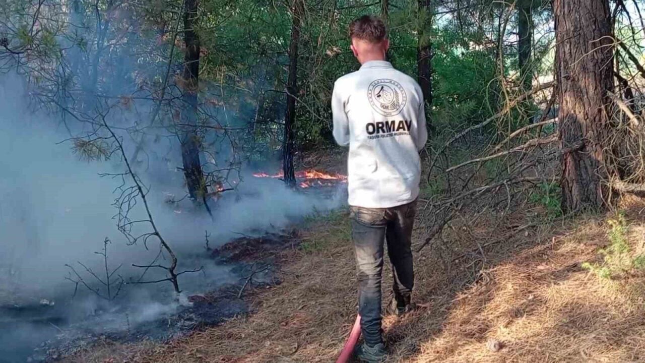 Amasya'nın Taşova ilçesi Yenidere köyünde çıkan yangında 10 dekar ormanlık