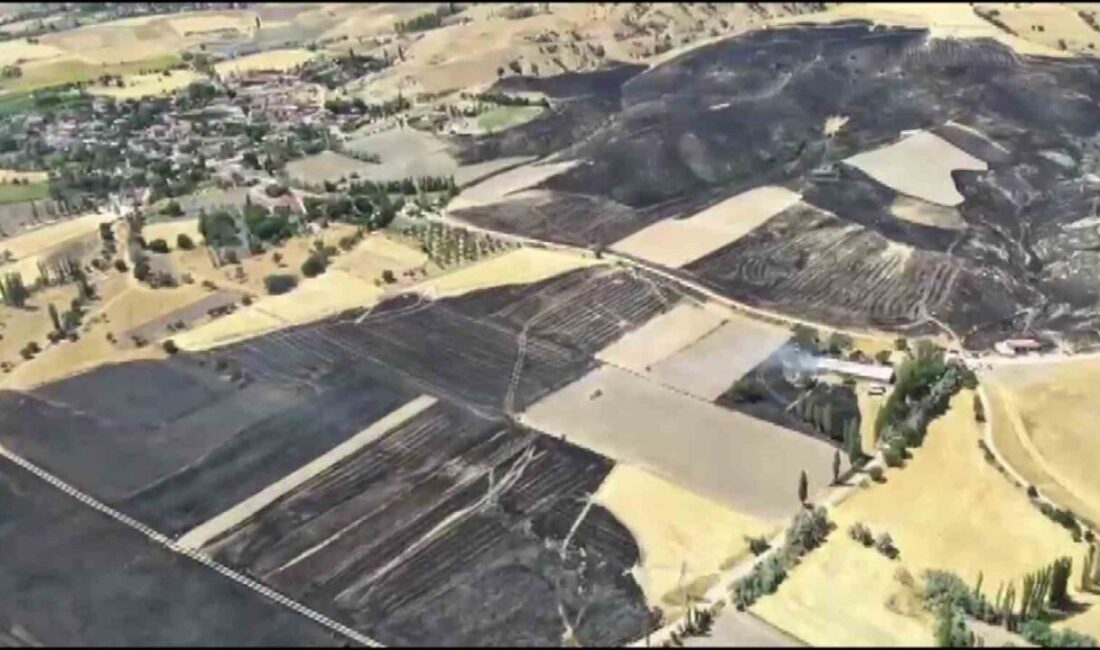 Amasya'nın Merzifon ilçesinde Çavunudur köyünde yaklaşık 500 dönüm tarım arazisi
