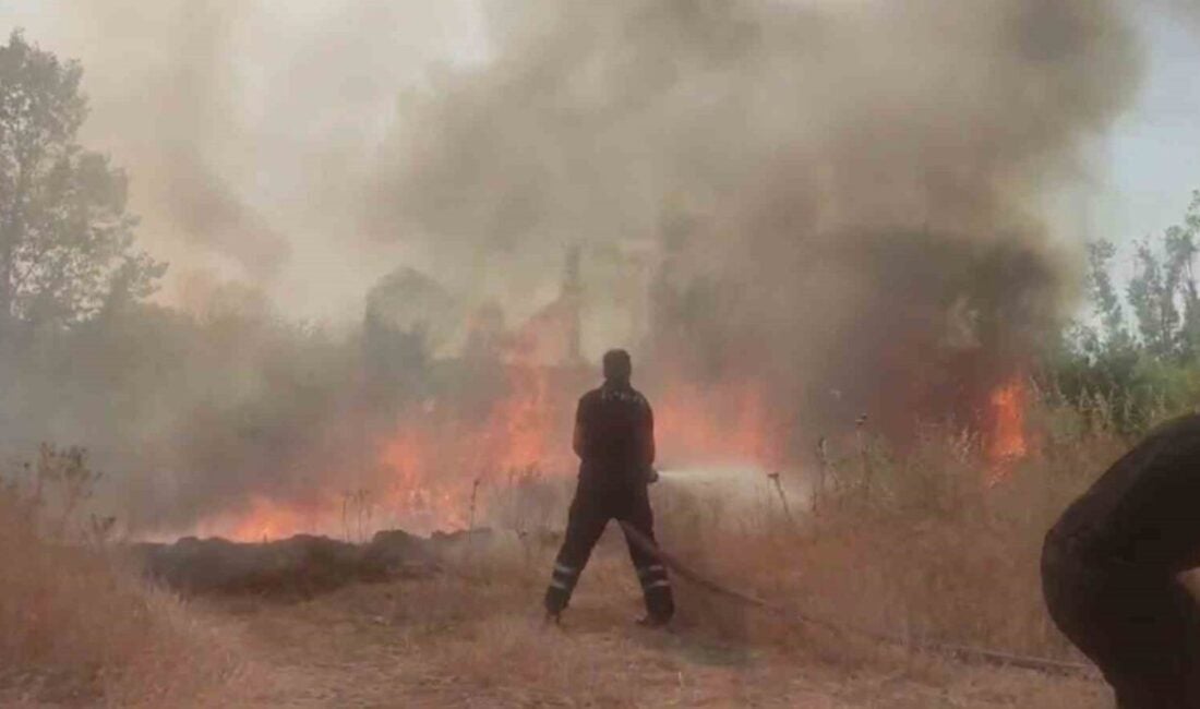 Edirne’nin Eskikadın köyünde hasat edilmiş buğday tarlasında çıkan yangın, ağaçlık