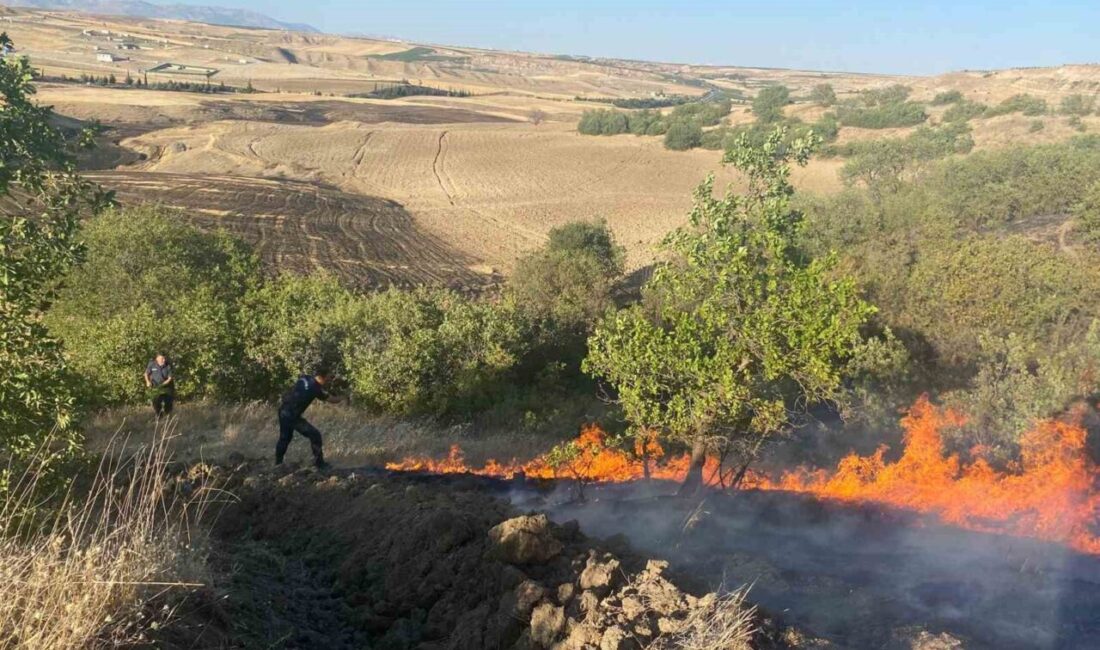 Adıyaman Havalimanı yakınlarında çıkan anız yangını, kısa sürede meyve bahçelerine