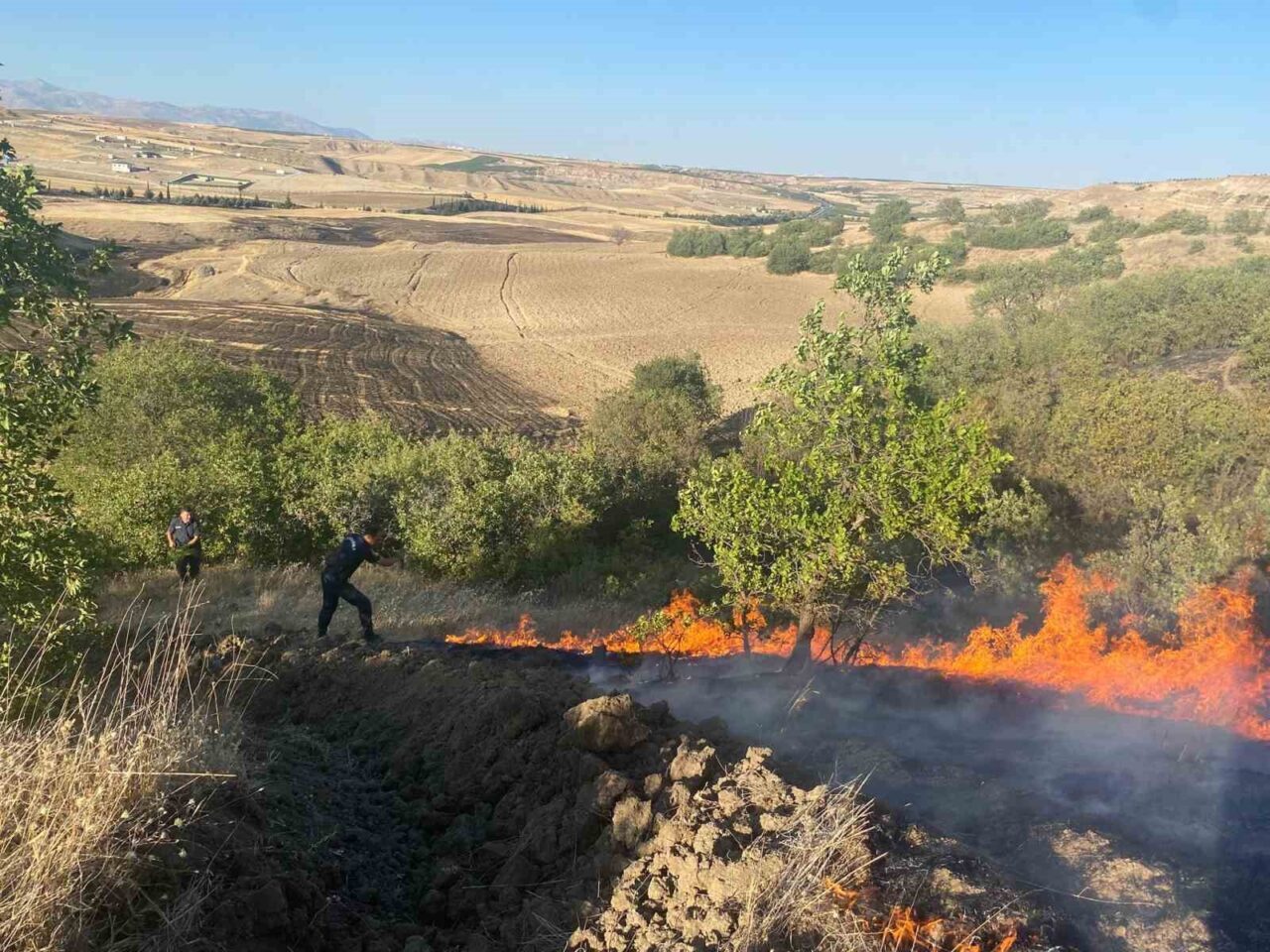 Adıyaman Havalimanı yakınlarında çıkan anız yangını, kısa sürede meyve bahçelerine