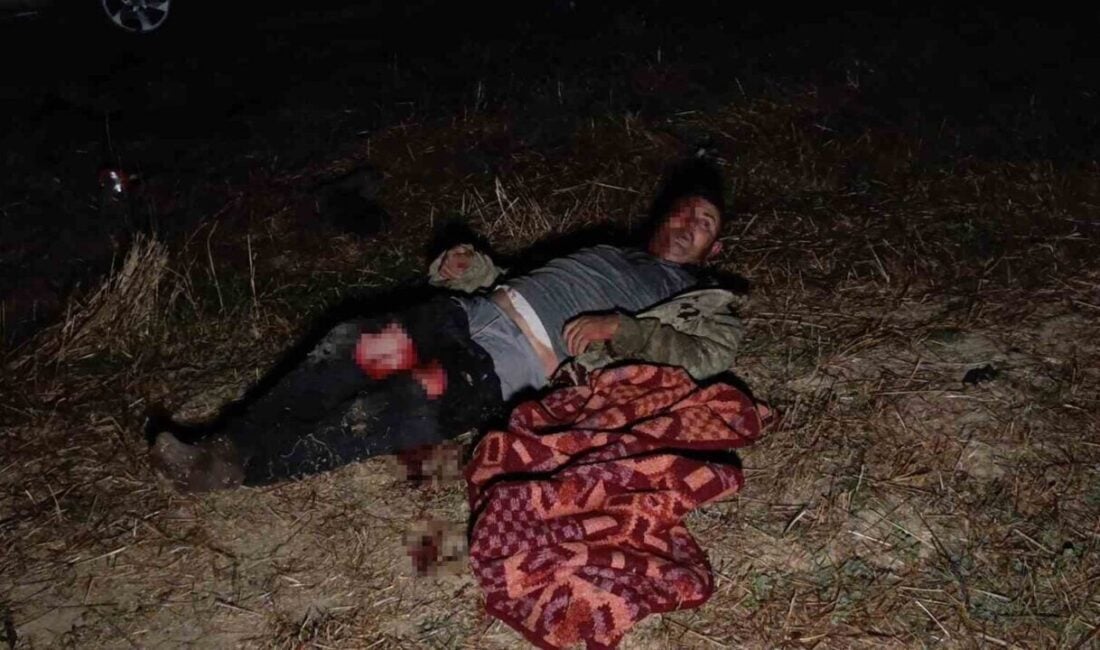 Manavgat'ta kaçan bir aslanın Süleyman Kır'a saldırmasının ardından ormanlık alanda