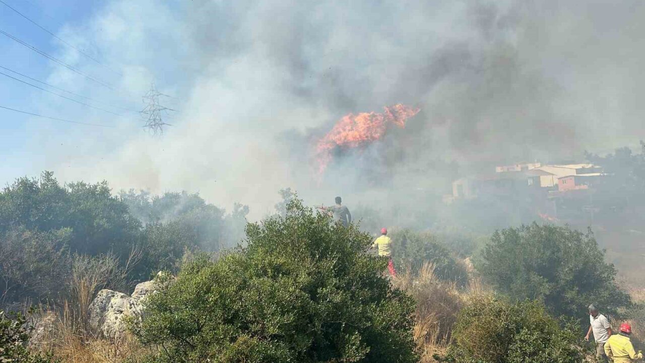Antalya'nın Aksu ilçesindeki ağaçlık alanda çıkan yangına ekipler müdahale ederken,