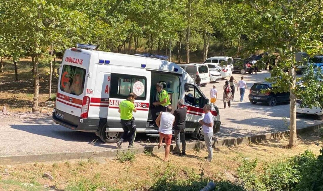 Kocaeli'nin Derince ilçesinde sürücüsü henüz belirlenemeyen Honda marka otomobil, park