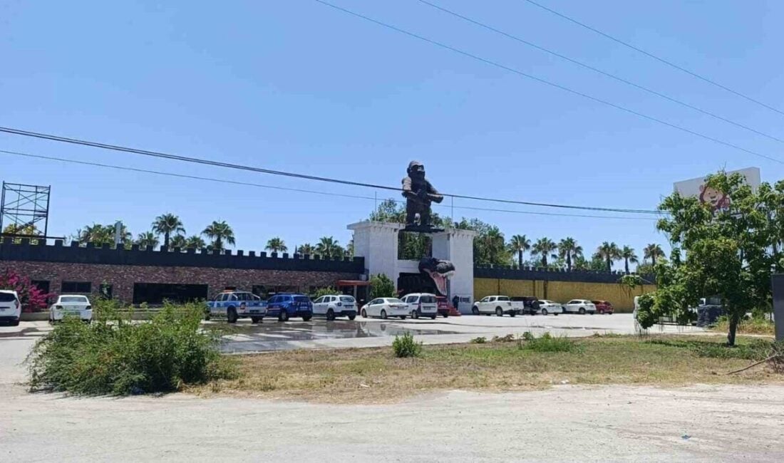 Antalya'nın Manavgat ilçesinde bir hayvanat bahçesinden kaçan aslan Süleyman Kır'a