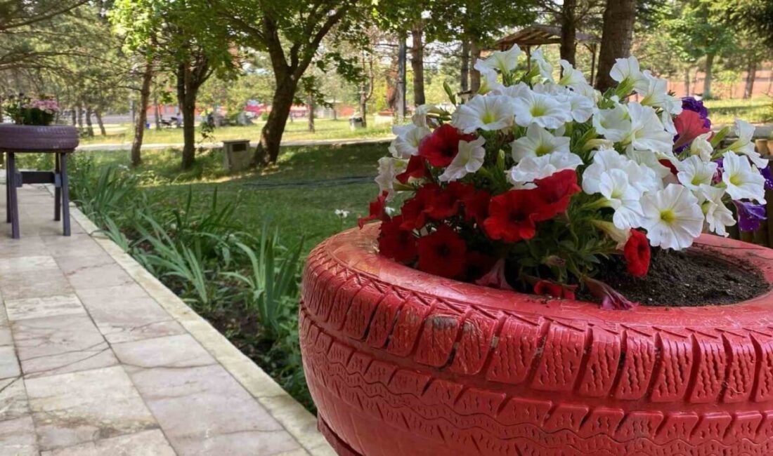 Bolu Abant İzzet Baysal Üniversitesi Eğitim Fakültesi, kullanılmayan malzemeleri geri