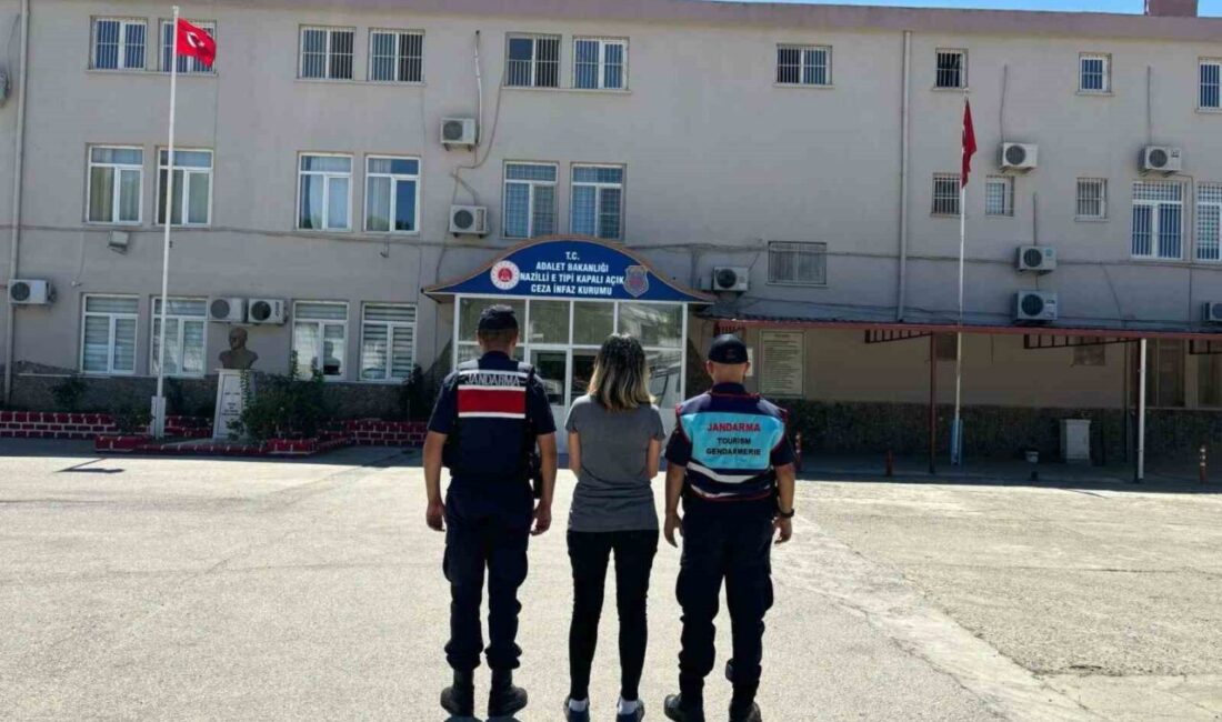 Aydın'da jandarma ekipleri, iki gün süren operasyonlarda 30 aranan kişiyi