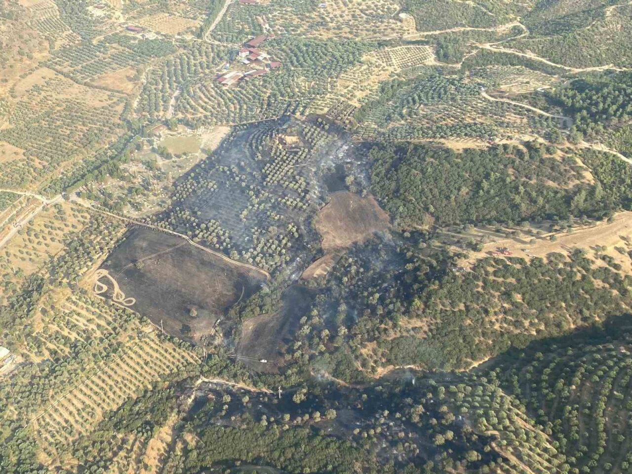 Aydın'ın Kuyucak ilçesinde Aksaz Mahallesi'ndeki makilik alanda çıkan yangın, itfaiye