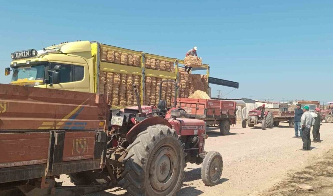 Çanakkale'nin Ayvacık ilçesinde orman yangını sonrası zarar gören üreticilere, AK