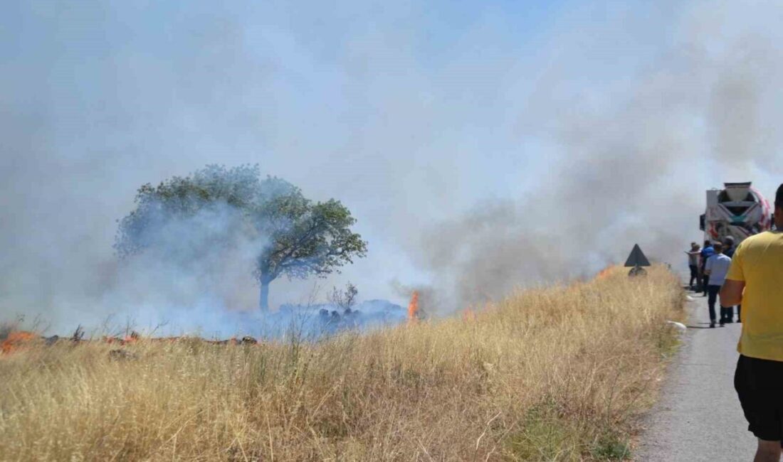 Balıkesir'in Ayvalık ilçesinde, poyrazın etkisiyle hızla büyüyen bir yangın, sanayi
