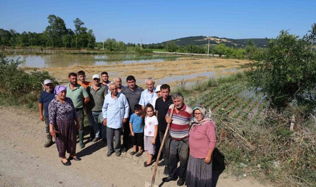 Samsun'un Bafra ilçesindeki Örencik Mahallesi'nde su kanalının tıkanması nedeniyle yaşanan