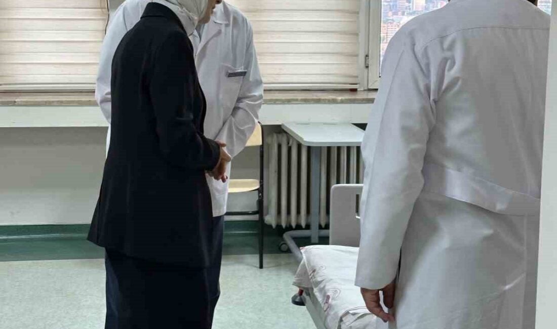 Aile ve Sosyal Hizmetler Bakanı Mahinur Özdemir Göktaş, Pençe-Kilit Harekatı'nda