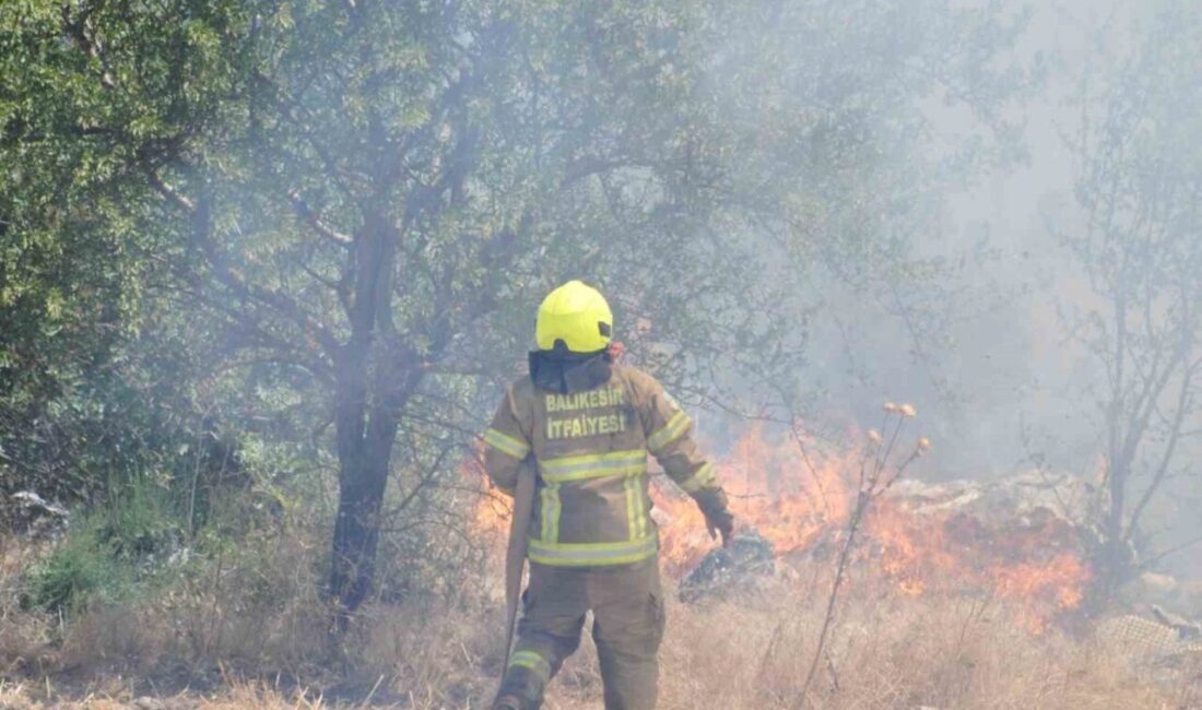 Balıkesir İtfaiyesi, son 12 günde 971 yangına hızlı müdahale ederek