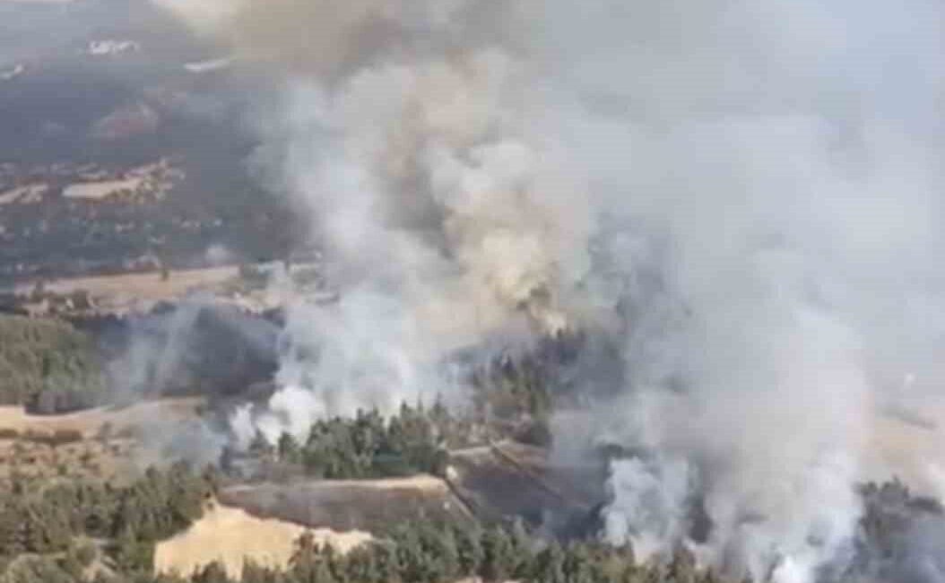 Balıkesir’in Dursunbey ilçesi Kurtlar Mahallesi civarındaki ormanlık alanda yangın başladı.