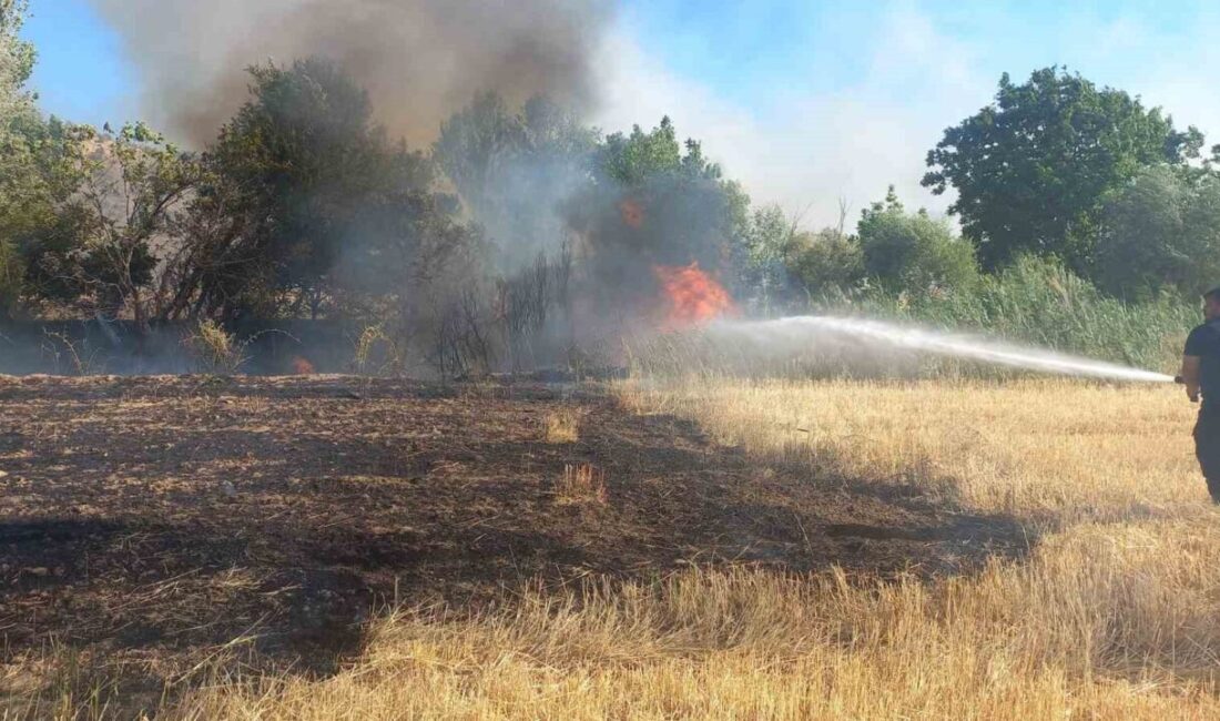Adıyaman'ın Gölbaşı ilçesinde, Ozan köyünde balya makinesinden çıkan kıvılcım yangına