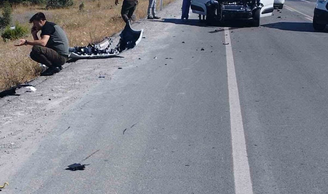 Balıkesir'in Balya ilçesinde, 10 ASS 470 plakalı otomobil aniden yola