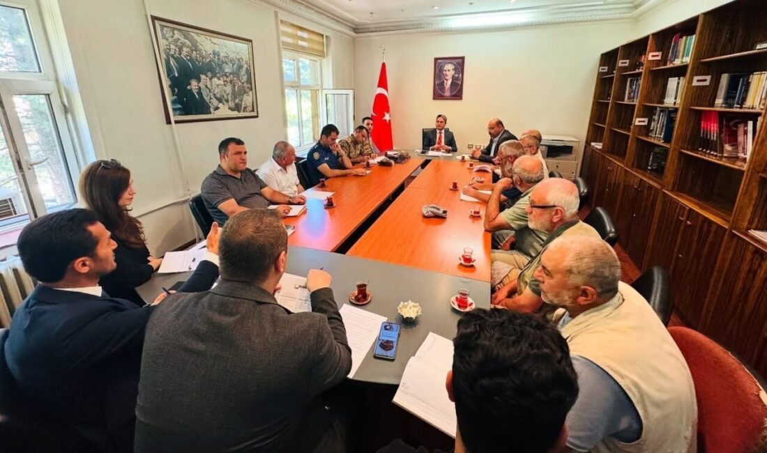Kemaliye Kaymakamı Emirhan Arıkan, Başbağlar Şehitlerini Anma Programı öncesinde güvenlik