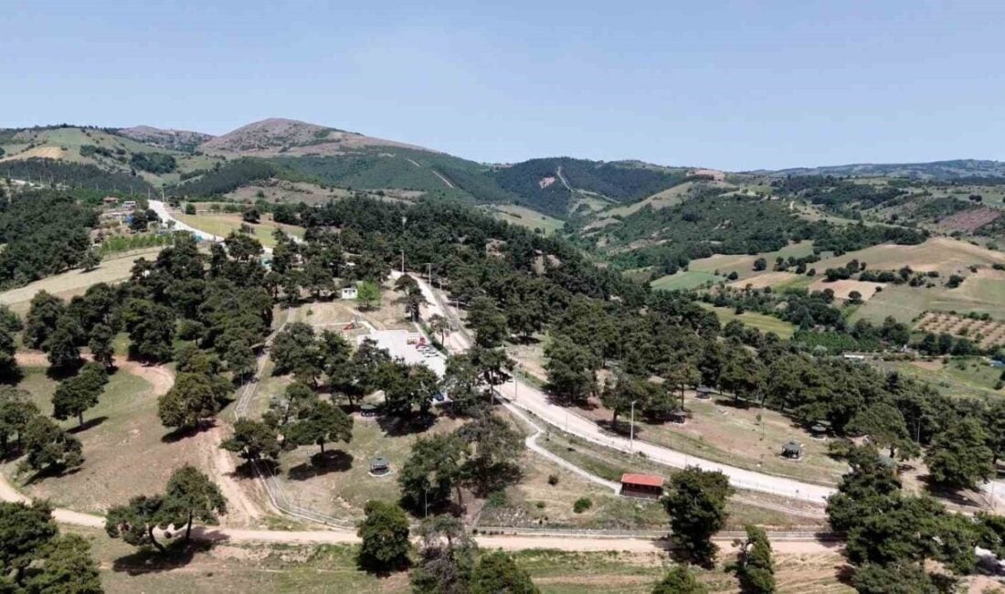 Yenişehir Belediyesi, Kozdere Çamlığı'nda haşerelere karşı ilaçlama yaptı. Belediye Başkanı