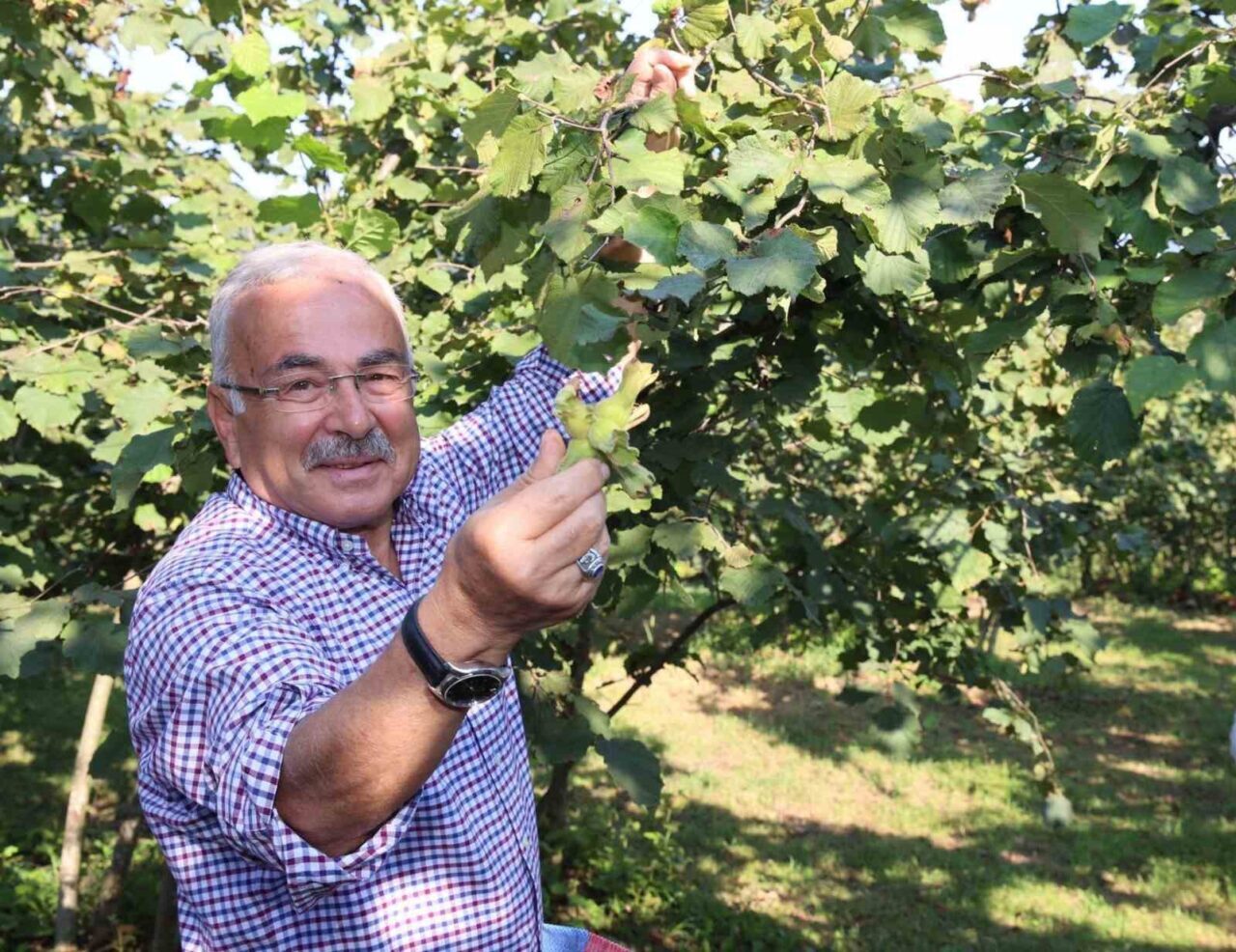 Ordu Büyükşehir Belediye Başkanı Dr. Mehmet Hilmi Güler, Ferrero'nun fındık