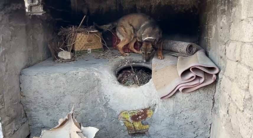 Batman'da uyuşturucu ticareti yaptığı belirlenen bir kişi, evinin ek bölümündeki