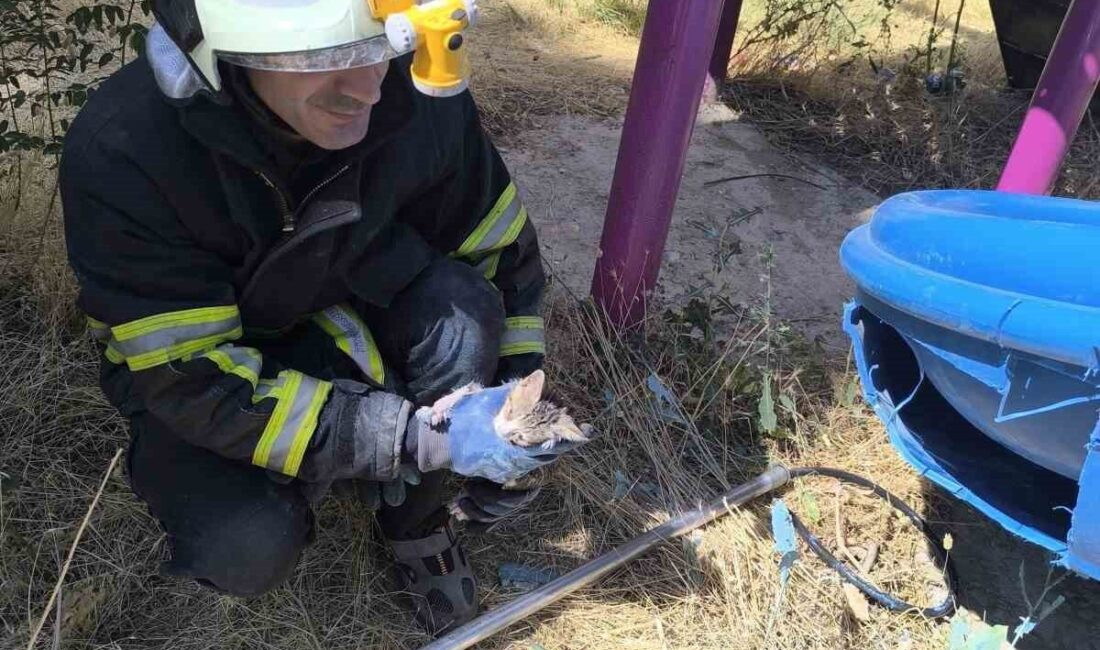 Batman'ın Gültepe Mahallesi'ndeki parkta kaydırağa sıkışan yavru kedi, itfaiye ekiplerinin