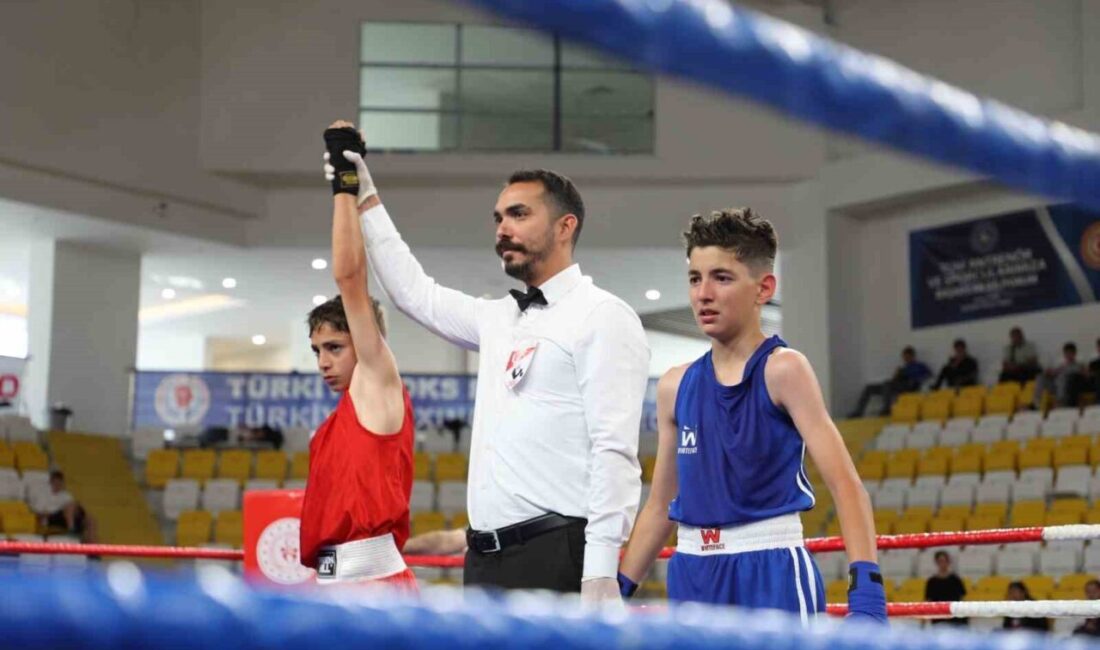 Bayburt'ta, Türkiye Boks Federasyonu'nun düzenlediği Üst Minik Erkekler ve Kadınlar