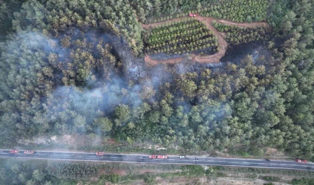 Çanakkale'nin Bayramiç ilçesinde, 1,5 dekar alanın zarar gördüğü orman yangını,