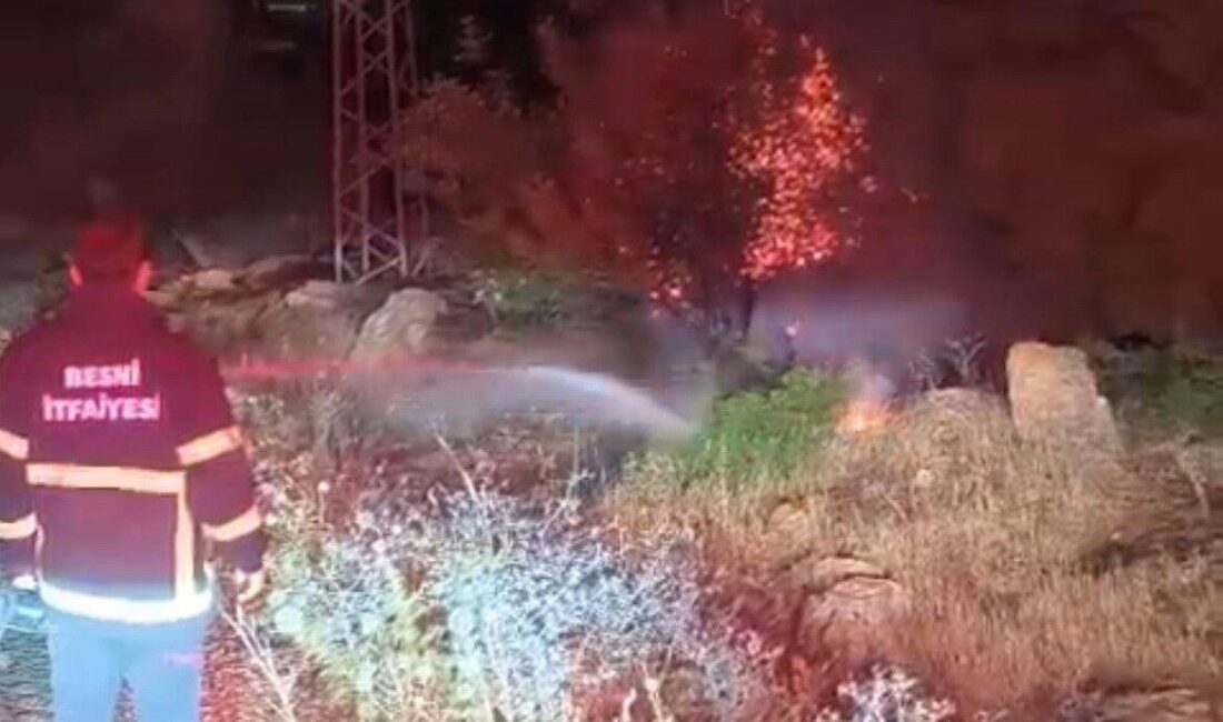 Adıyaman'ın Besni ilçesindeki Kıraçhayma ve Körtenli köylerinde çıkan orman yangınında