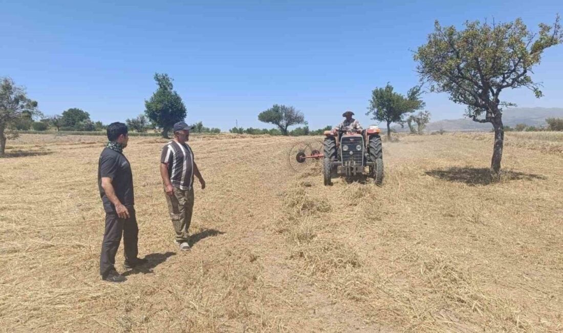 Konya'nın Beyşehir ilçesinde yem bitkilerinin hasat dönemi devam etmekte. Beyşehir