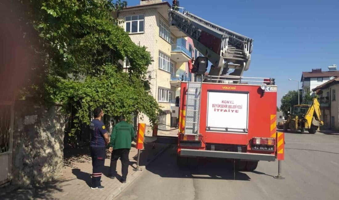 Konya'nın Beyşehir ilçesinde, Hacıakif Mahallesi'ndeki boş bir binanın çatısında mahsur