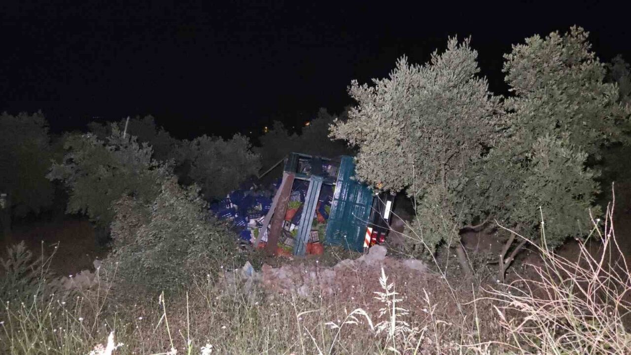 Bursa'nın Orhangazi ilçesinde Enis Akkılıç'ın kullandığı biber yüklü kamyon, virajda