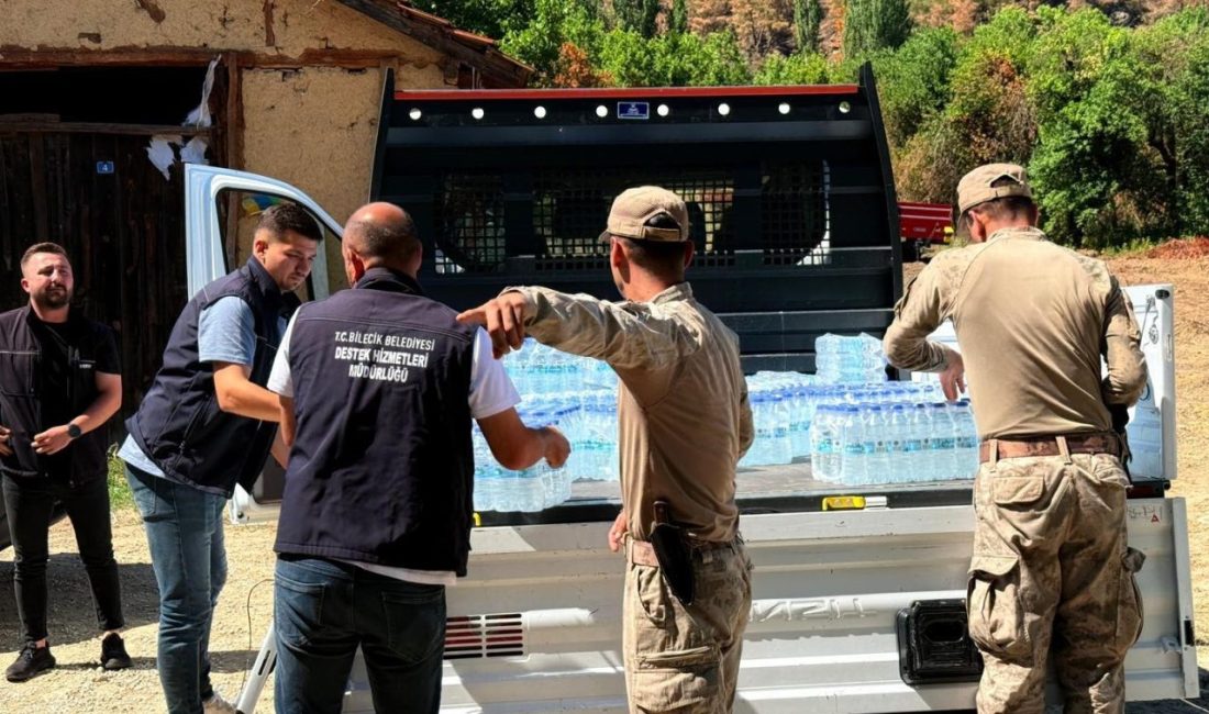 Bilecik Belediyesi, Gölpazarı'nın Köprücek Köyü'ndeki yangın felaketinin ardından yangından etkilenen