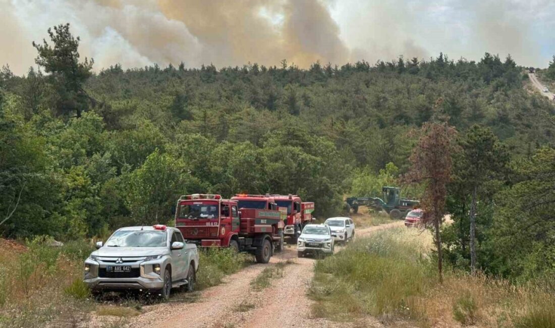 Bilecik'te başlayan orman yangını, rüzgar nedeniyle büyüyerek Kuyubaşı ve Örenköy'deki