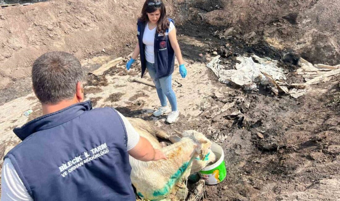 Bilecik’teki orman yangını sonucu 35 kilometrekare alan kül oldu. Taraklı'dan