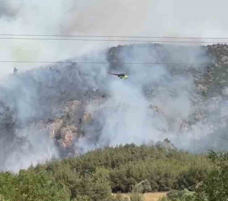 Bilecik’in Gölpazarı ilçesinde çıkan orman yangını kontrol altına alındı. Ancak,