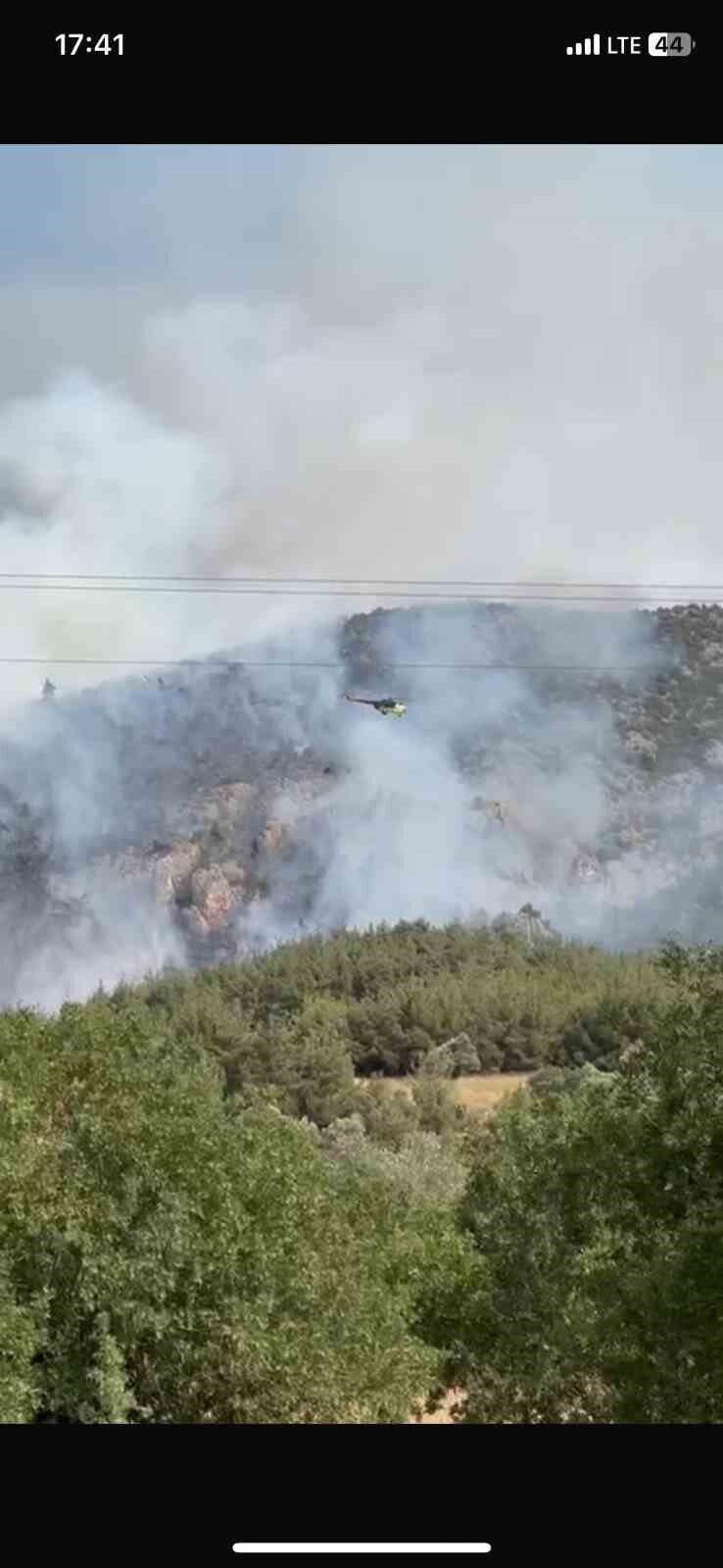 Bilecik’in Gölpazarı ilçesinde çıkan orman yangını kontrol altına alındı. Ancak,
