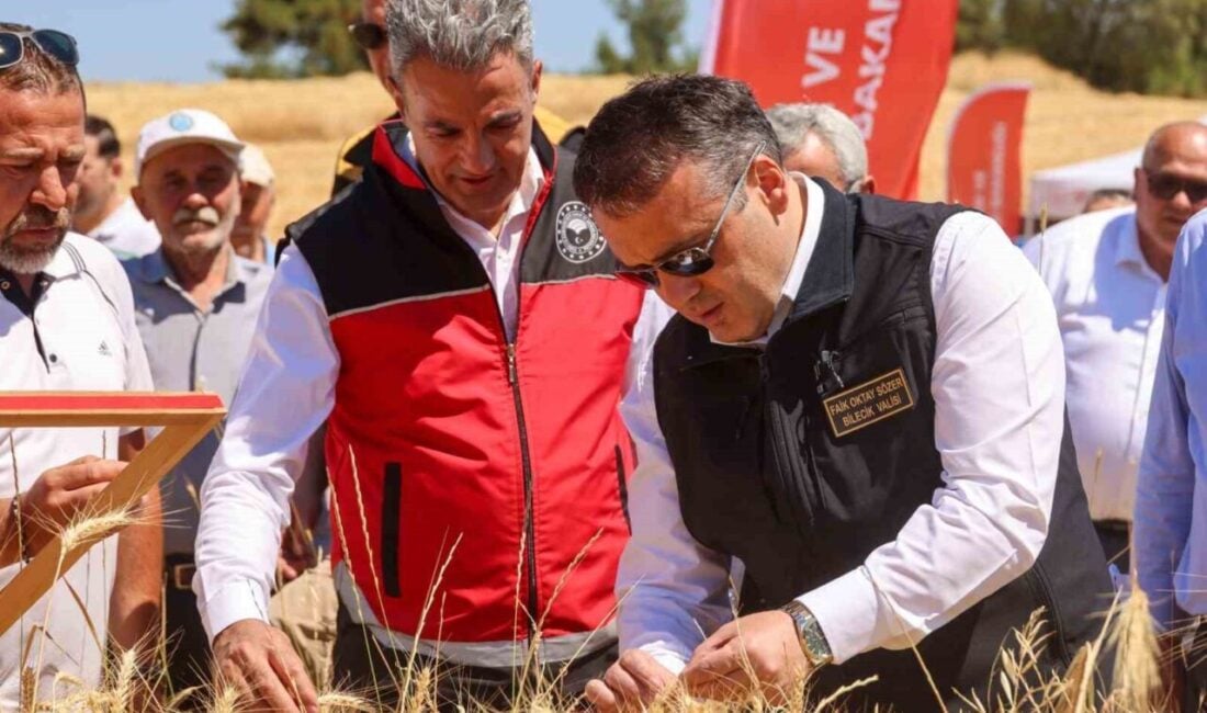 Bilecik'te 305 bin 863 dekar buğday ekimi yapılırken, 75 bin