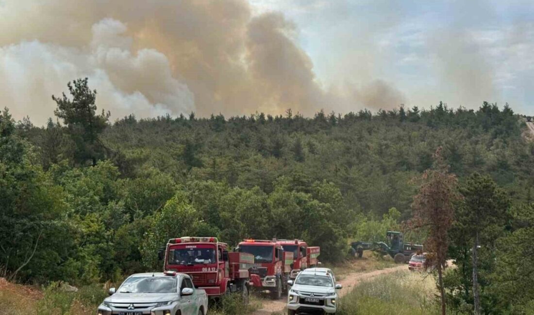Bilecik’in Vezirhan beldesindeki Zobran köyünde yeni bir orman yangını çıktı.