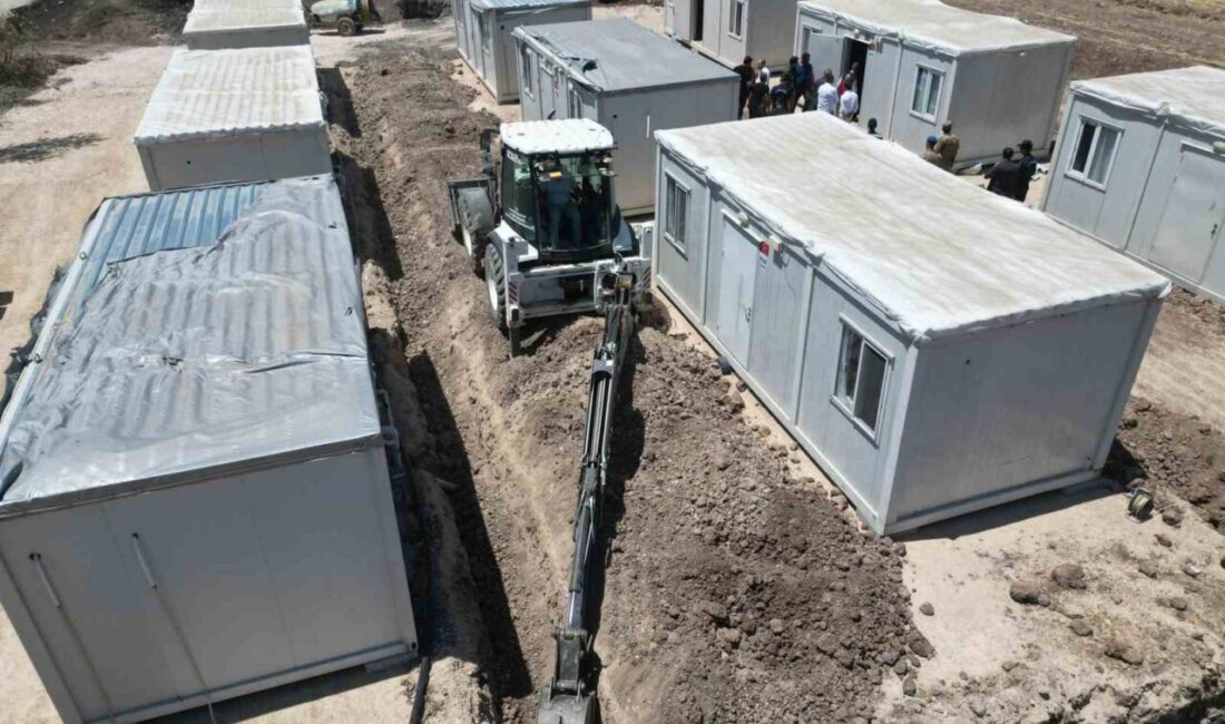 Bilecik'in Gölpazarı ve Osmaneli ilçelerindeki orman yangınları sonrasında, zarar gören