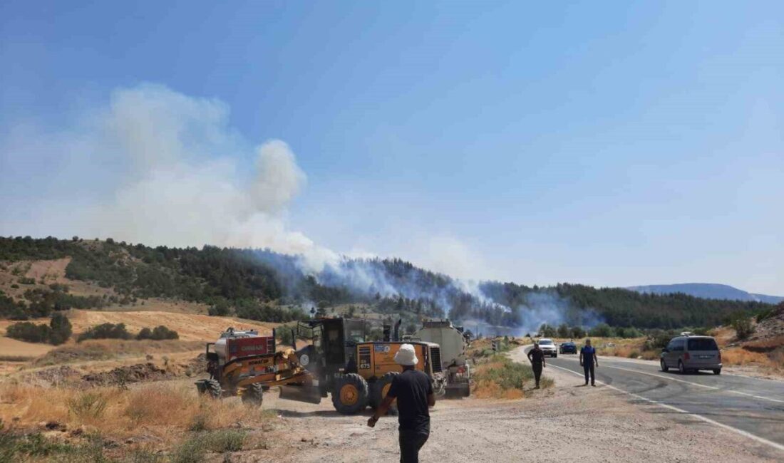 Bilecik'in Gölpazarı ilçesi Kayaburnu mevkiinde ormanlık alanda yangın çıktı. Saat