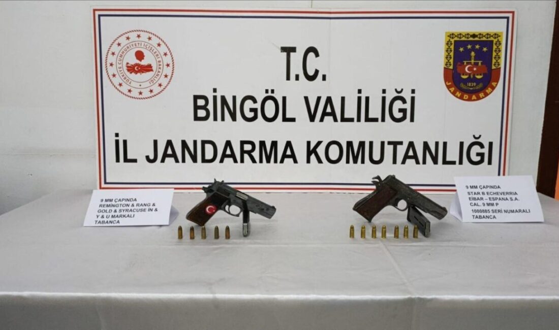 Bingöl'de silah kaçakçılığı iddiasıyla iki kişi yakalandı. Karlıova Jandarma Komutanlığı