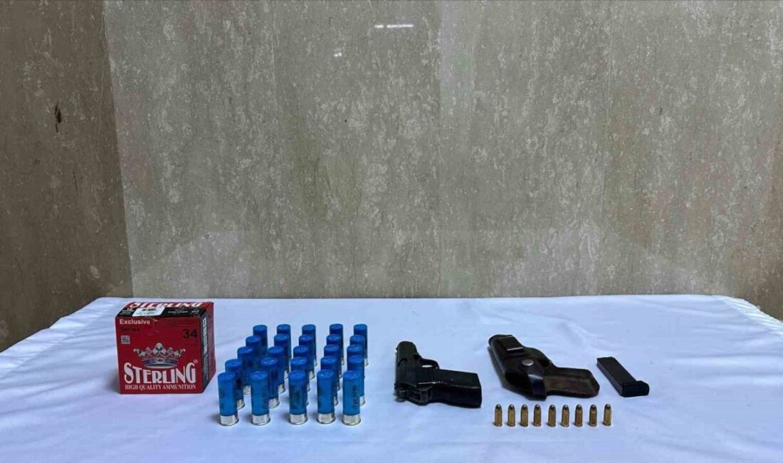 Bingöl'de jandarma tarafından gerçekleştirilen operasyonda, Genç İlçe Jandarma Komutanlığı ekipleri