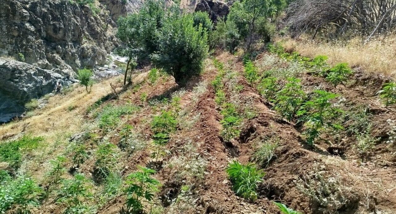 Bingöl'ün Genç ilçesinde jandarma ekipleri, uyuşturucu imalatı ve yasa dışı