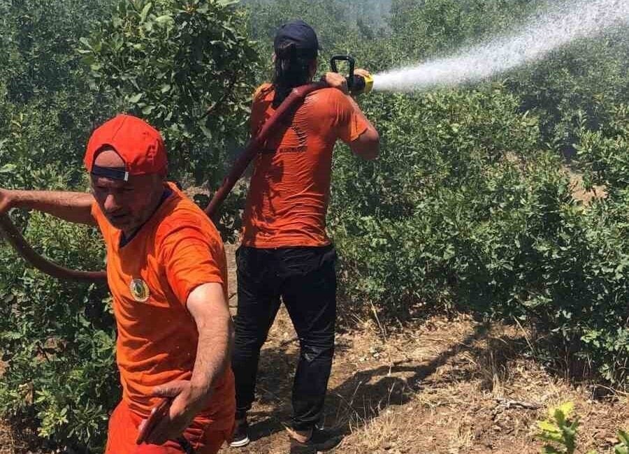 Bingöl'ün Kardeşler köyünde çıkan orman yangını, Bingöl Orman İşletme Müdürlüğü'ne