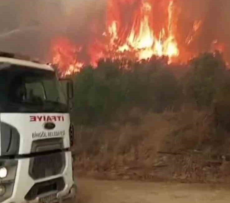 Bingöl'den itfaiye ekipleri, Hatay'daki orman yangınlarına müdahale için bölgeye gönderildi.