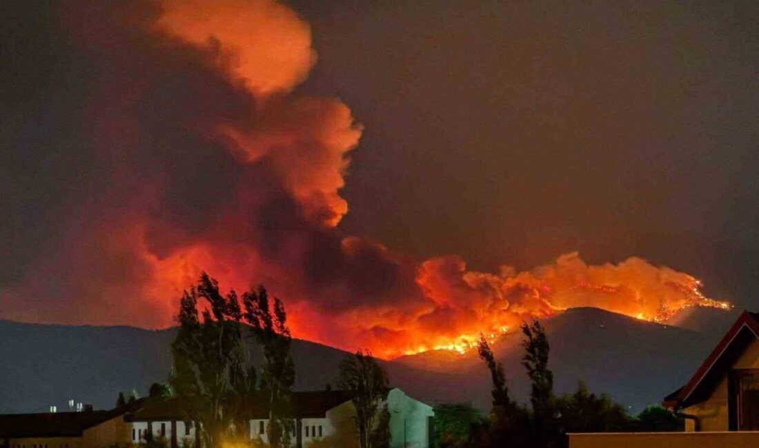 İzmir'in Ödemiş ilçesinde Tayfun Yangını'na benzer bir yangın çıktı. Tosunlar,