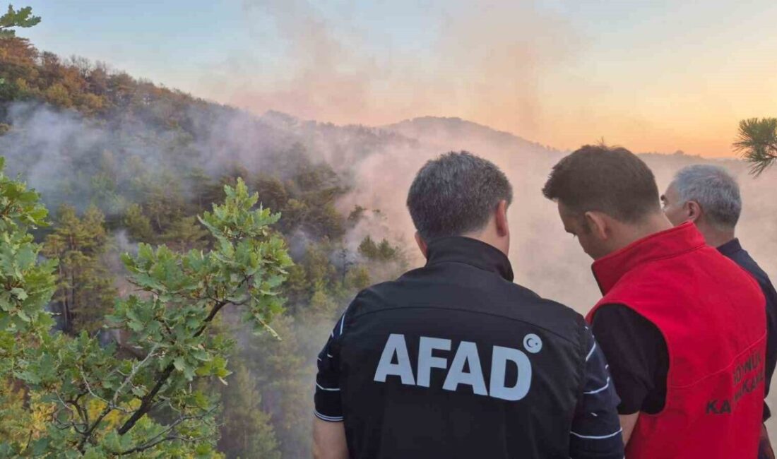 Bolu'nun Göynük ilçesinde Karaardıç köyü yakınlarındaki ormanlık alanda çıkan yangın,